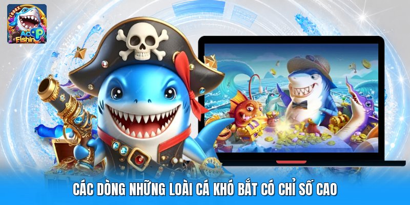 Các dòng những loài cá khó bắt có chỉ số cao