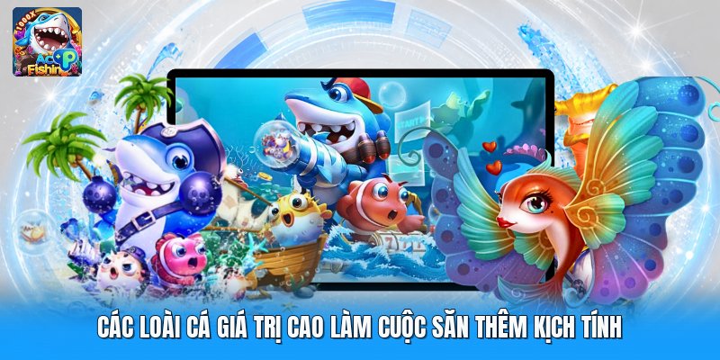 Các Loài Cá Giá Trị Cao Làm Cuộc Săn Thêm Kịch Tính