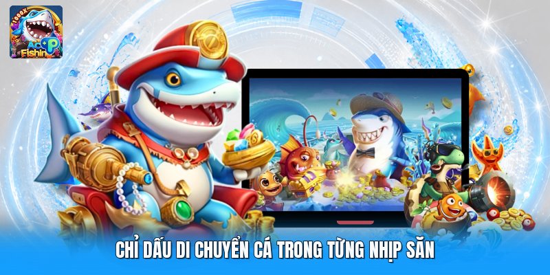Chỉ dấu di chuyển cá trong từng nhịp săn
