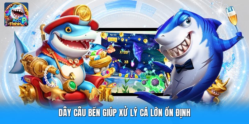 Dây câu bền giúp xử lý cá lớn ổn định