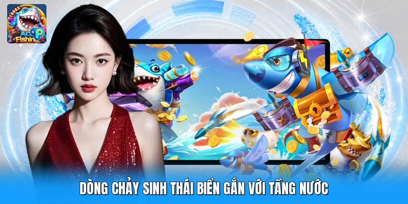 Dòng chảy sinh thái biển gắn với tầng nước