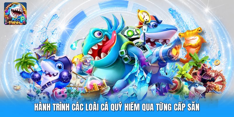 Hành trình các loài cá quý hiếm qua từng cấp săn