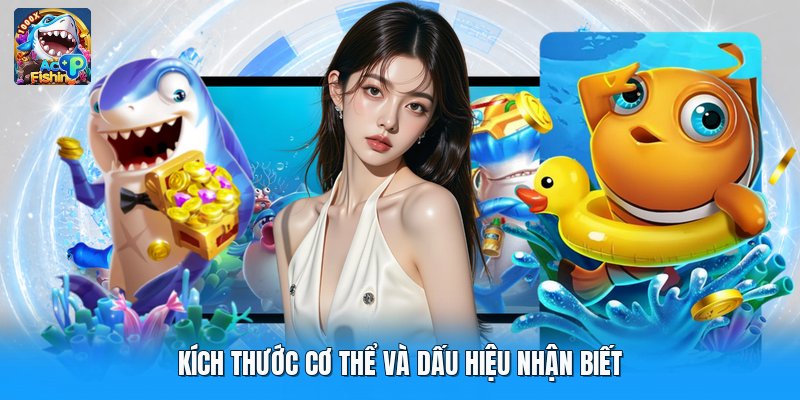 Kích thước cơ thể và dấu hiệu nhận biết