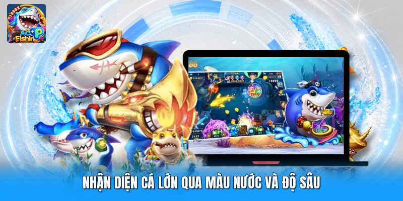 Nhận diện cá lớn qua màu nước và độ sâu