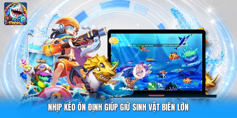 Nhịp kéo ổn định giúp giữ sinh vật biển lớn