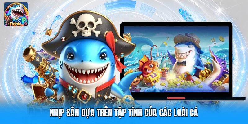 Nhịp săn dựa trên tập tính của các loài cá