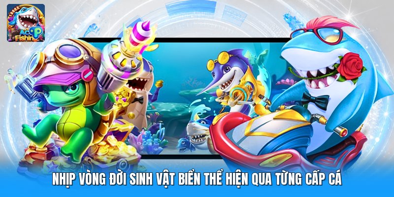 Nhịp vòng đời sinh vật biển thể hiện qua từng cấp cá