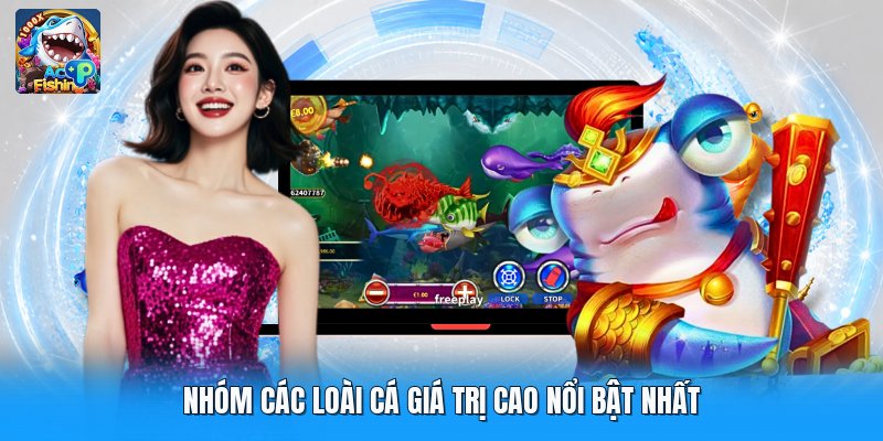 Nhóm các loài cá giá trị cao nổi bật nhất