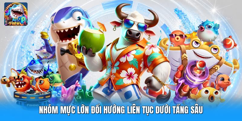 Nhóm mực lớn đổi hướng liên tục dưới tầng sâu