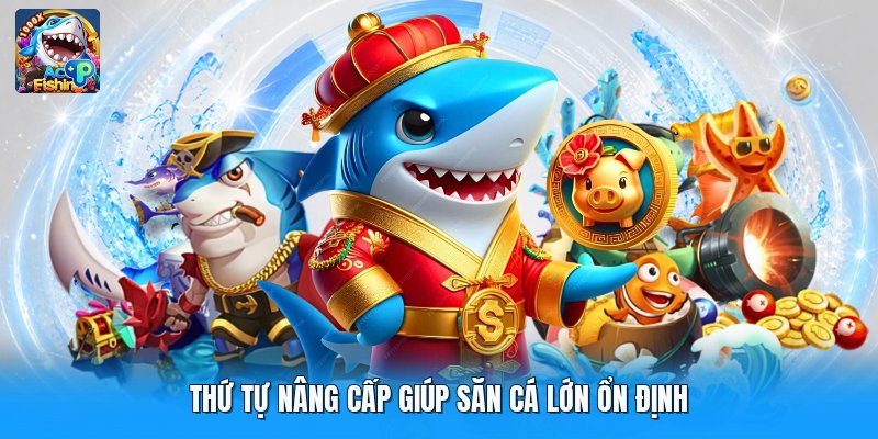 Thứ tự nâng cấp giúp săn cá lớn ổn định